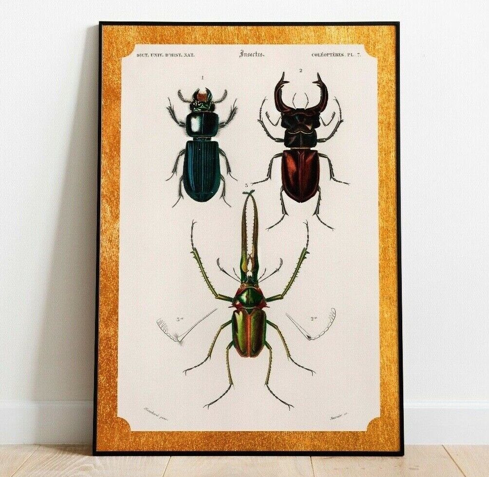 Vintage Insect Print, Bug Print, Insect Art Print, Wall Art, Steampunk Print