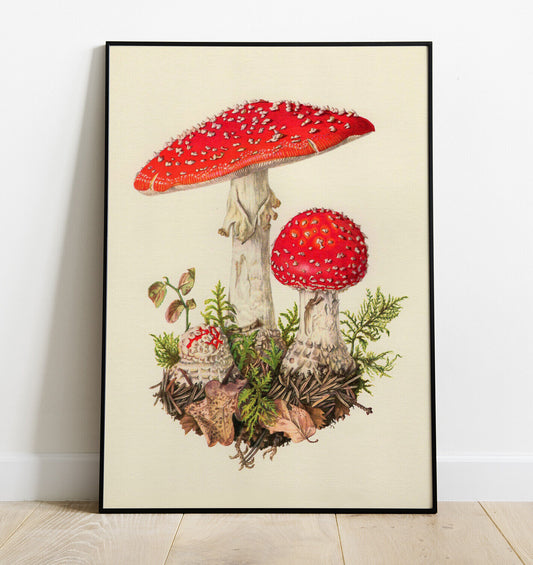 Mushroom Art Print, Mushroom PRINT - Vintage Mushroom, Home Decor, Wall Art