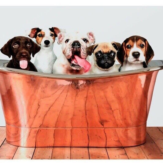 Puppies in Bath Art Print, Puppy Poster, Dog Print, Home Decor Wall Art