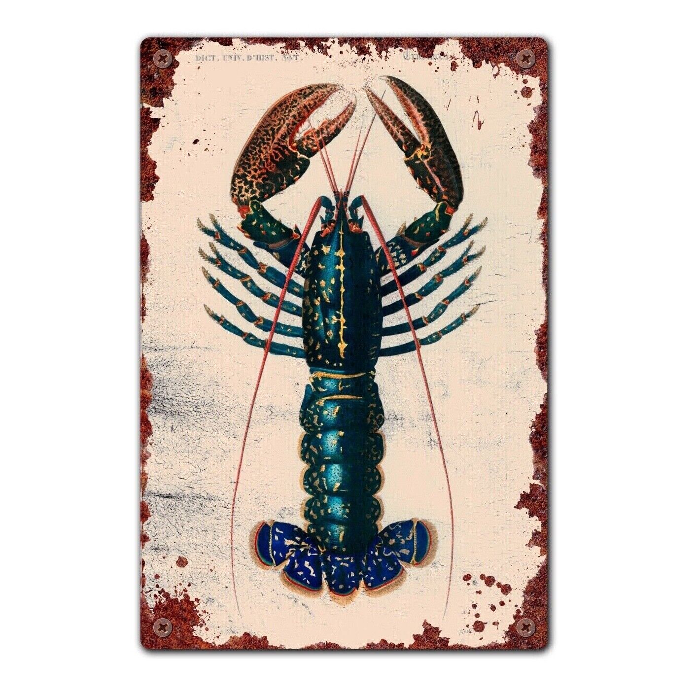 Vintage Lobster Tin Sign, Kitchen Wall Plaque, Seafood Tin Sign,