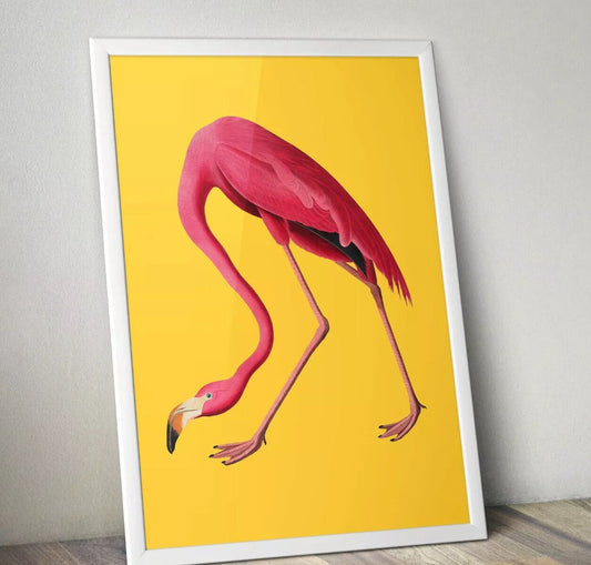 Vintage Flamingo Print, Flamingo Art, Flamingo Art, Flamingo Poster